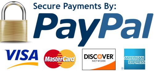 Cách Mua Hàng Trên Ebay Bằng Paypal